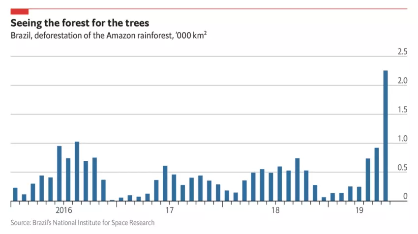 Deforestation in the Amazon has risen sharply in recent years